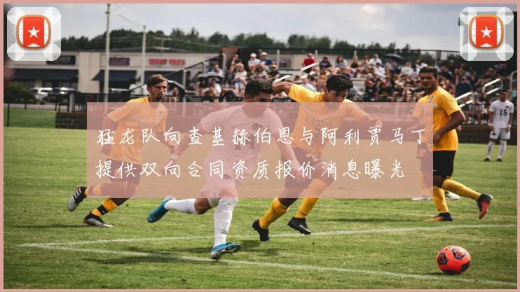 猛龙队向查基赫伯恩与阿利贾马丁提供双向合同资质报价消息曝光