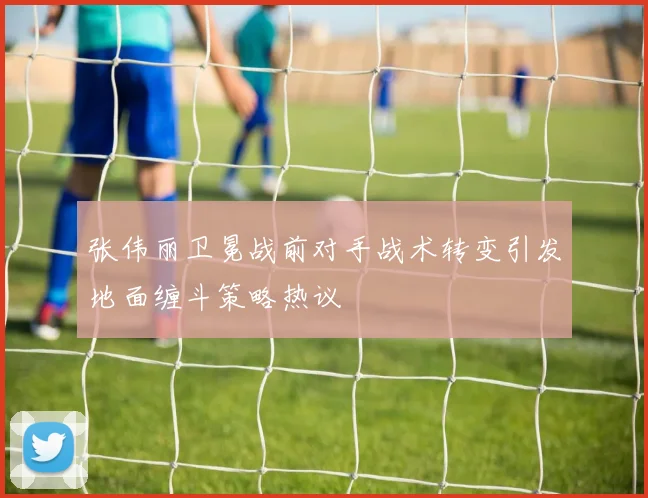 张伟丽卫冕战前对手战术转变引发地面缠斗策略热议